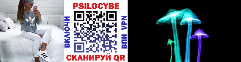 KRAKEN зеркало  Новая Ляля  Галлюциногенные грибы Cubensis 